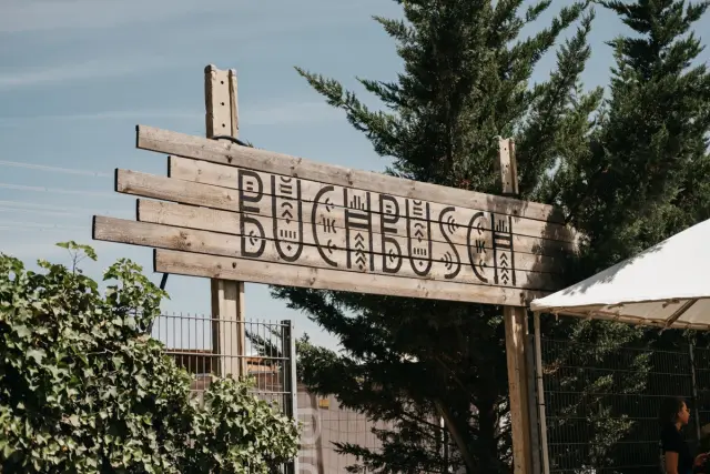 Buchbusch Festival 2025, photo 17