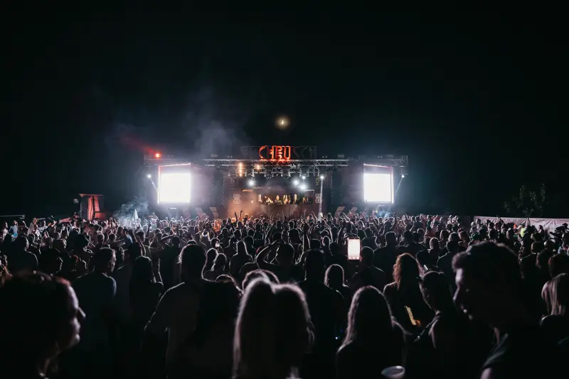 The crowd in front of the brightly lit stage at night